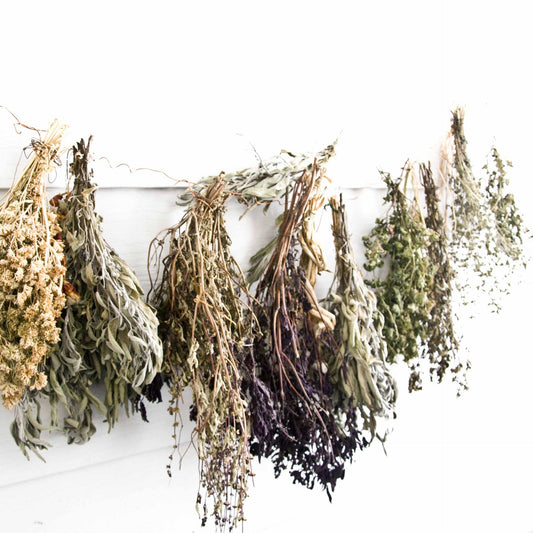 Thyme Oil