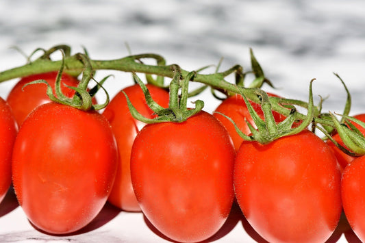 The Ultimate Guide to Italian Tomatoes: Varieties, Uses & Traditional Recipes