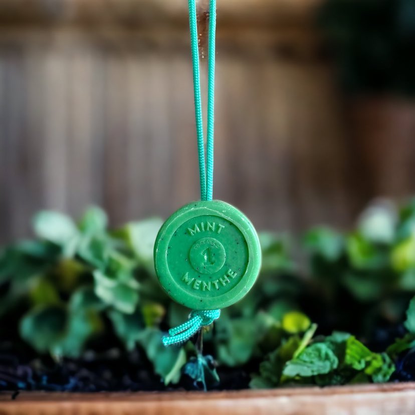 Mint & Poppy Seed