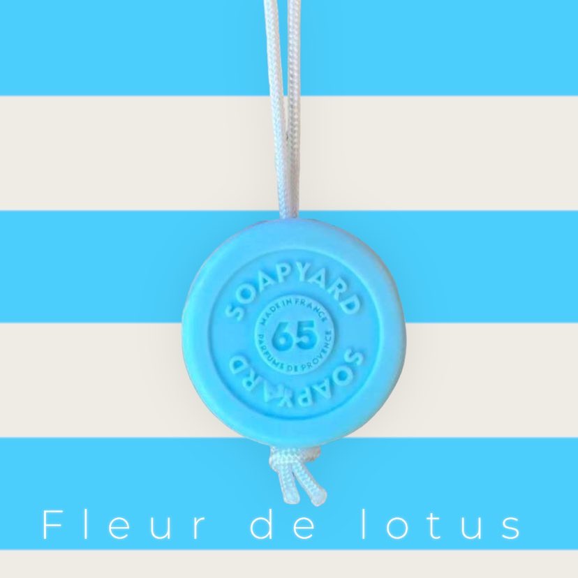Lotus Flower №74