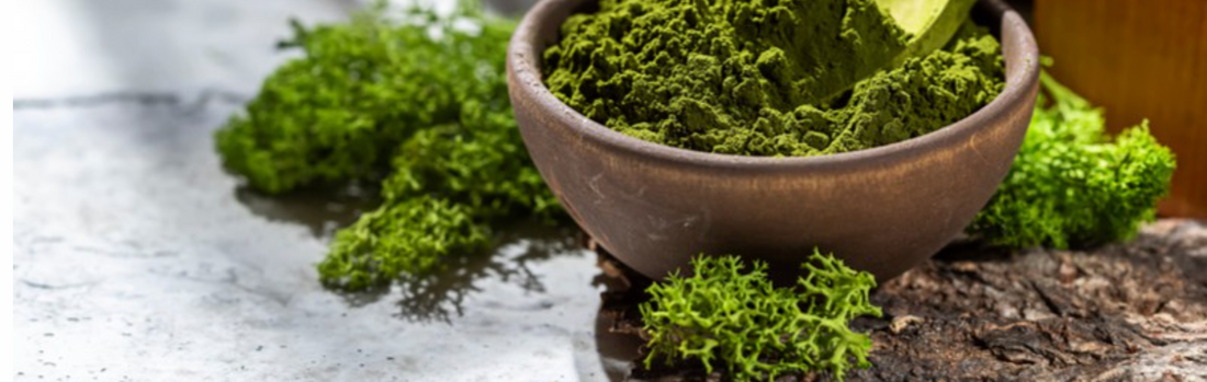 this is an image from dr axe and is of a brown bowl with a green powder in it, surrounded by a variety seaweed clumps on a table