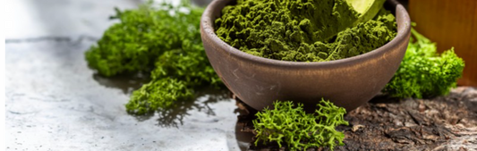 this is an image from dr axe and is of a brown bowl with a green powder in it, surrounded by a variety seaweed clumps on a table