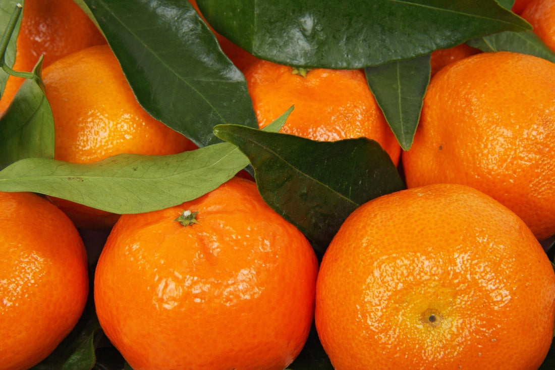 Close-up image of fresh, ripe mandarins with deep orange skin and green leaves, showcasing their vibrant color and natural texture.