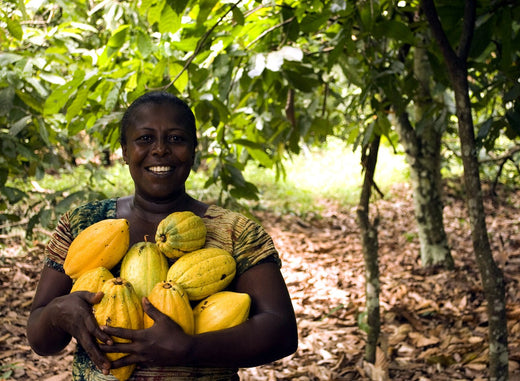 Exploring Ghana: A Cultural and Natural Treasure