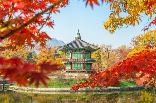 Korea, Nature, Tree image