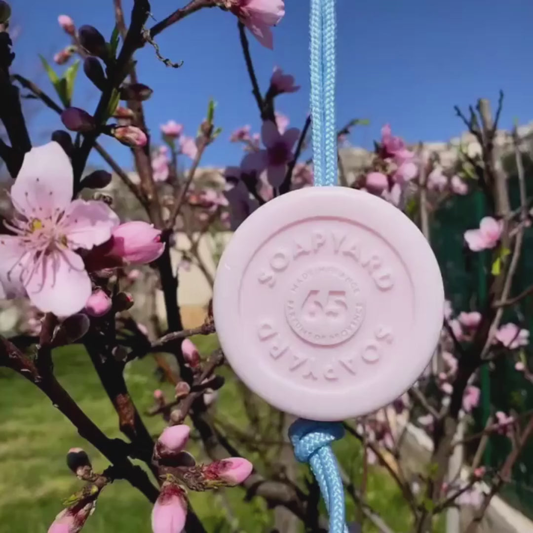 Cherry Blossom & Milk №25